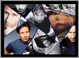 niebieskie oczy, David Duchovny, twarze